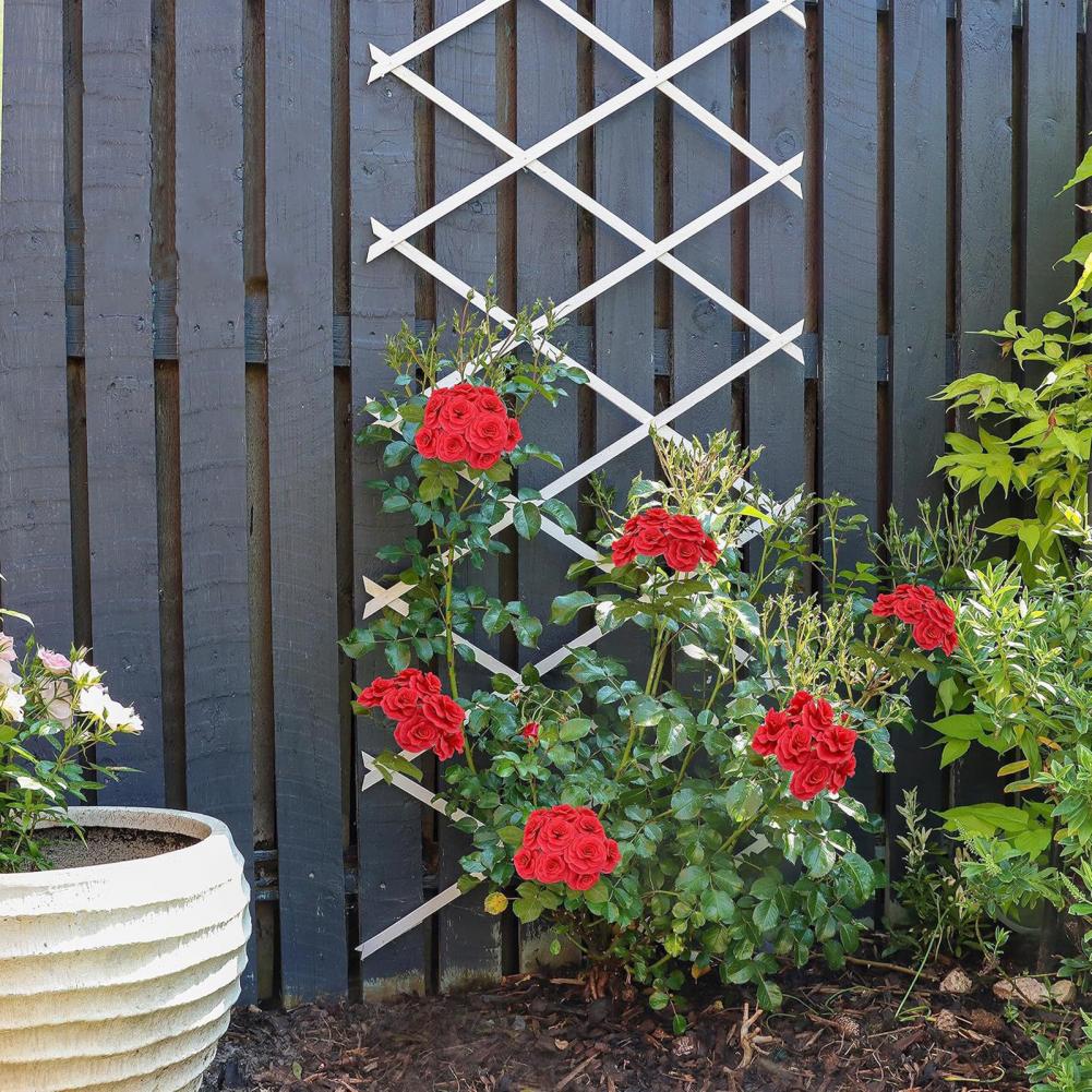 Vine Climbing Plastic - Expandable Garden Trellis 70 x 12