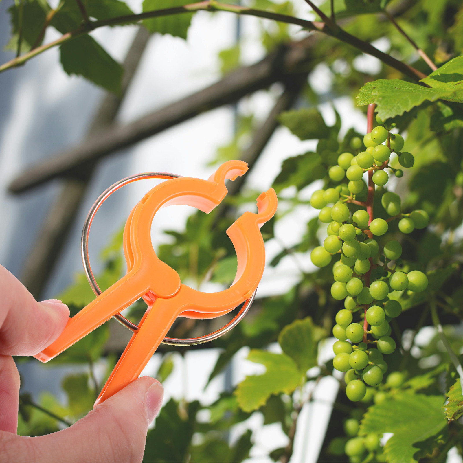 12Pcs Plant Support Clips for  - Vine Climbing Plastic recension och pris