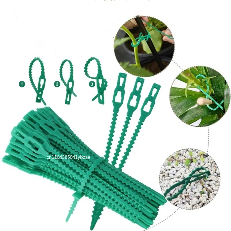 50-1000pcs Adjustable Plastic  - Vine Climbing Plastic recension och pris