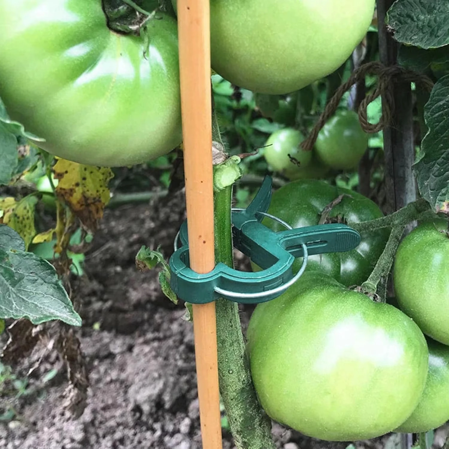 Plant Fixed Clips Reusable Gar - Vine Climbing Plastic recension och pris
