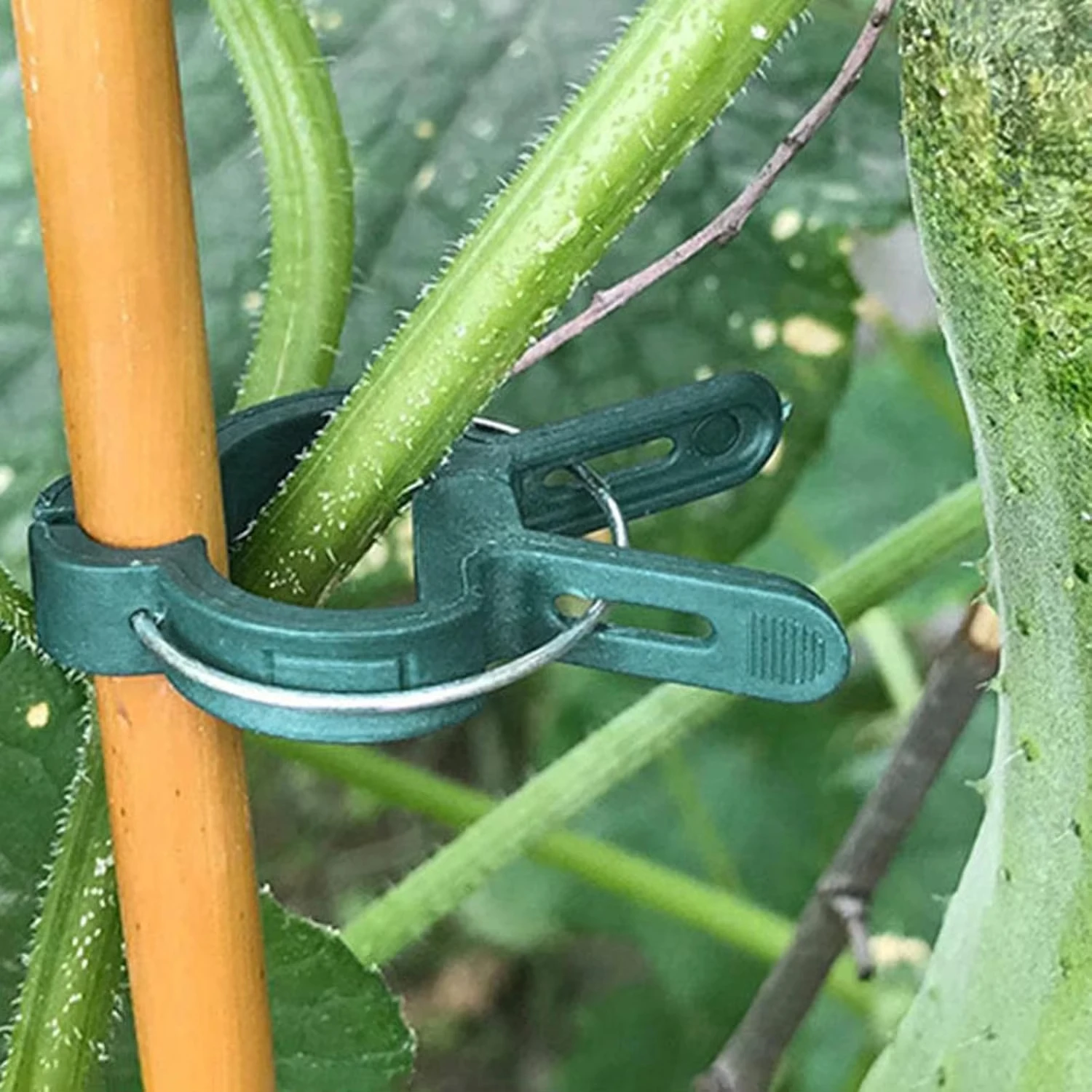 Plant Fixed Clips Reusable Gar - Vine Climbing Plastic recension och pris