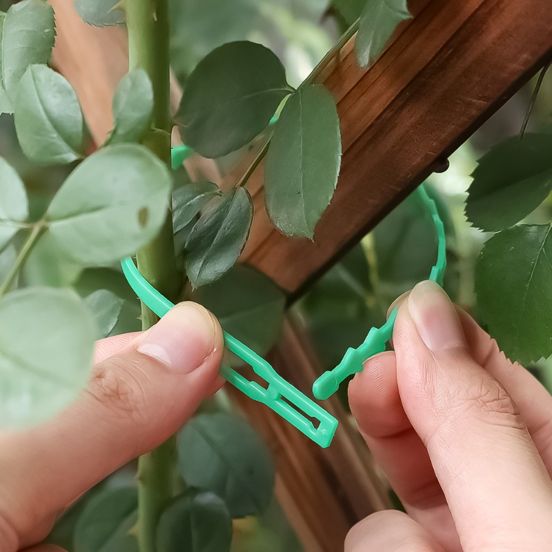 Wholesale Reusable Plant Fixed - Vine Climbing Plastic recension och pris