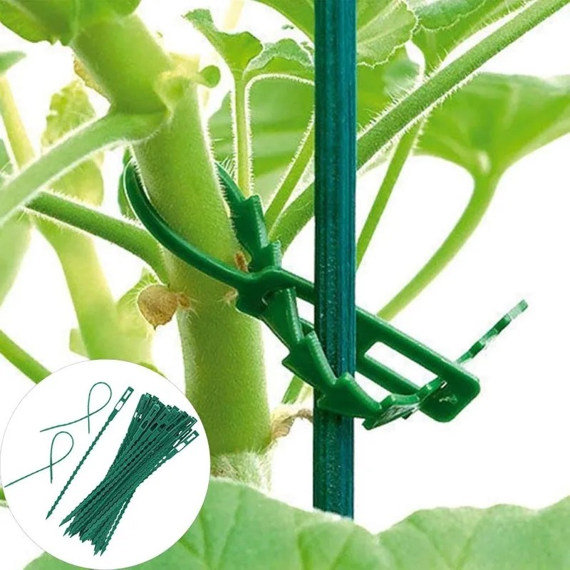 Wholesale Reusable Plant Fixed - Vine Climbing Plastic recension och pris