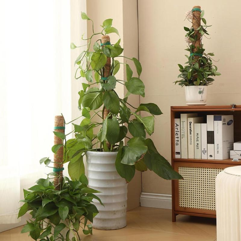 1Pcs Plant Growth Traction Rod - Vine Climbing Plastic recension och pris