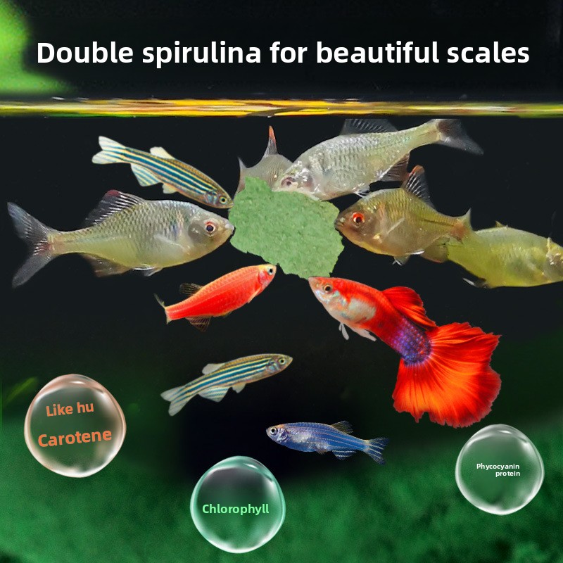 DEERA Tropical Fish Flakes, Un - Tetra Food Tropical Flakes recension och pris