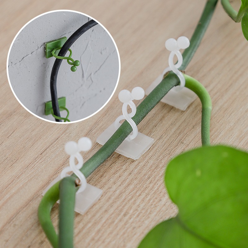 10Pcs Plant Wall Fixing Hooks  - Vine Climbing Plastic recension och pris