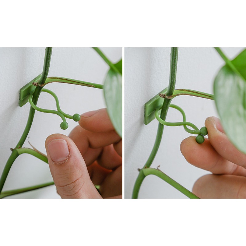 10Pcs Plant Wall Fixing Hooks  - Vine Climbing Plastic recension och pris
