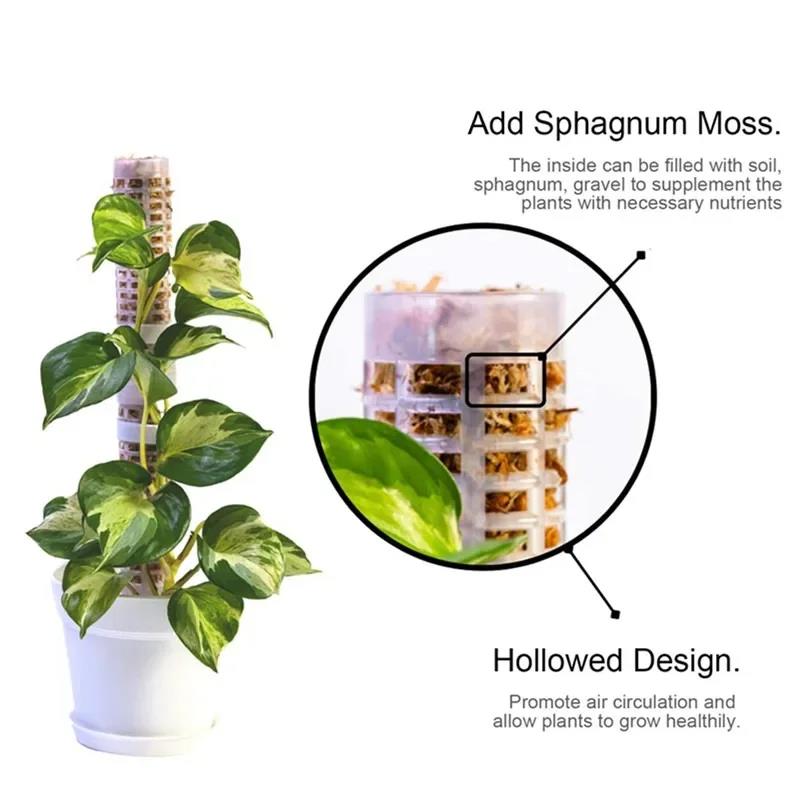 Plant Climbing Frame Plant Tre - Vine Climbing Plastic recension och pris