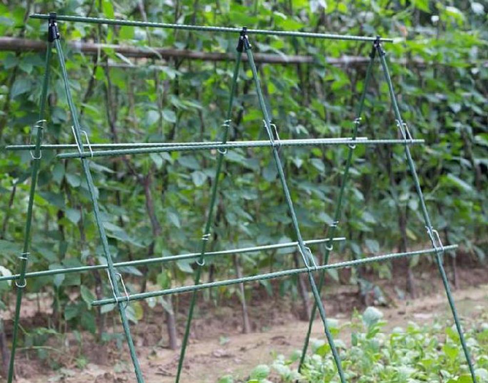 Diameter 8/11/16mm Plant Suppo - Vine Climbing Plastic recension och pris