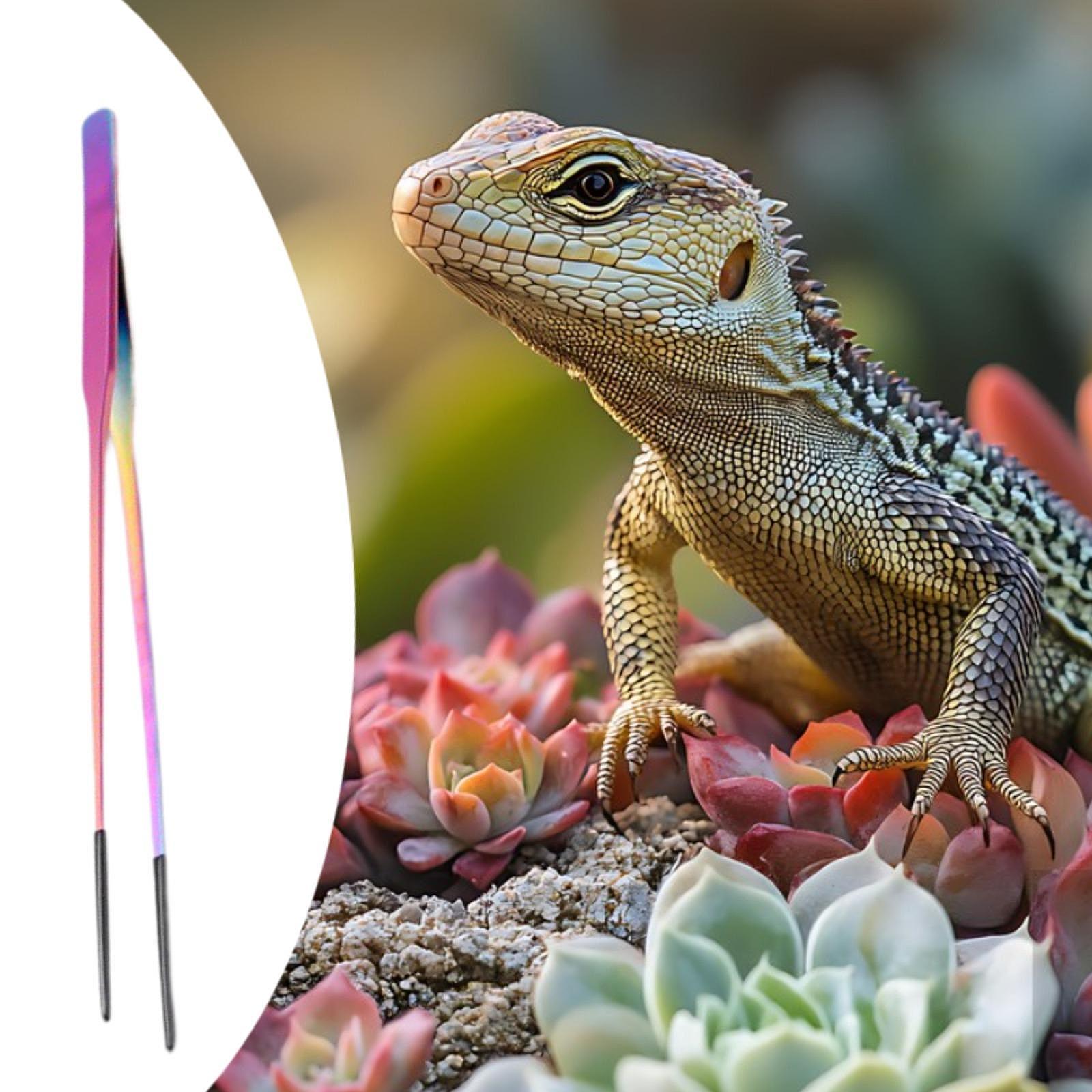 Small Pet Supplies Reptile Fee - Feeding Tong Stainless recension och pris