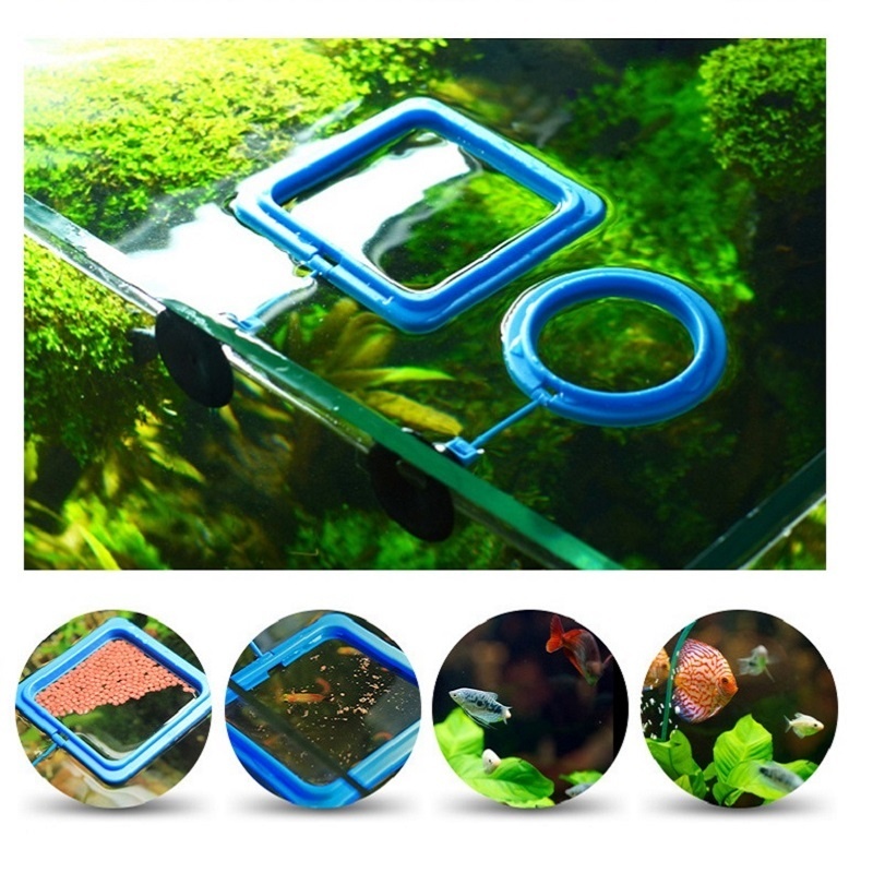 Fish Feeding Ring Feeder Fishi - Tetra Food Tropical Flakes recension och pris