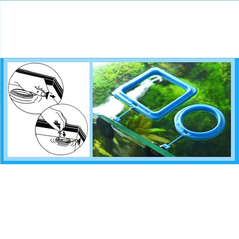Fish Feeding Ring Feeder Fishi - Tetra Food Tropical Flakes recension och pris