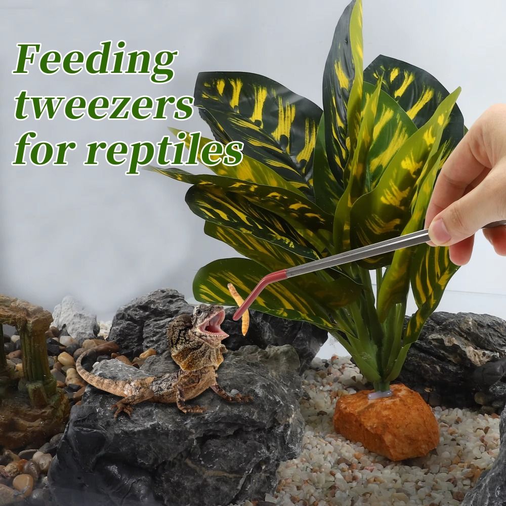 Stainless Steel Aquarium Feedi - Feeding Tong Stainless recension och pris
