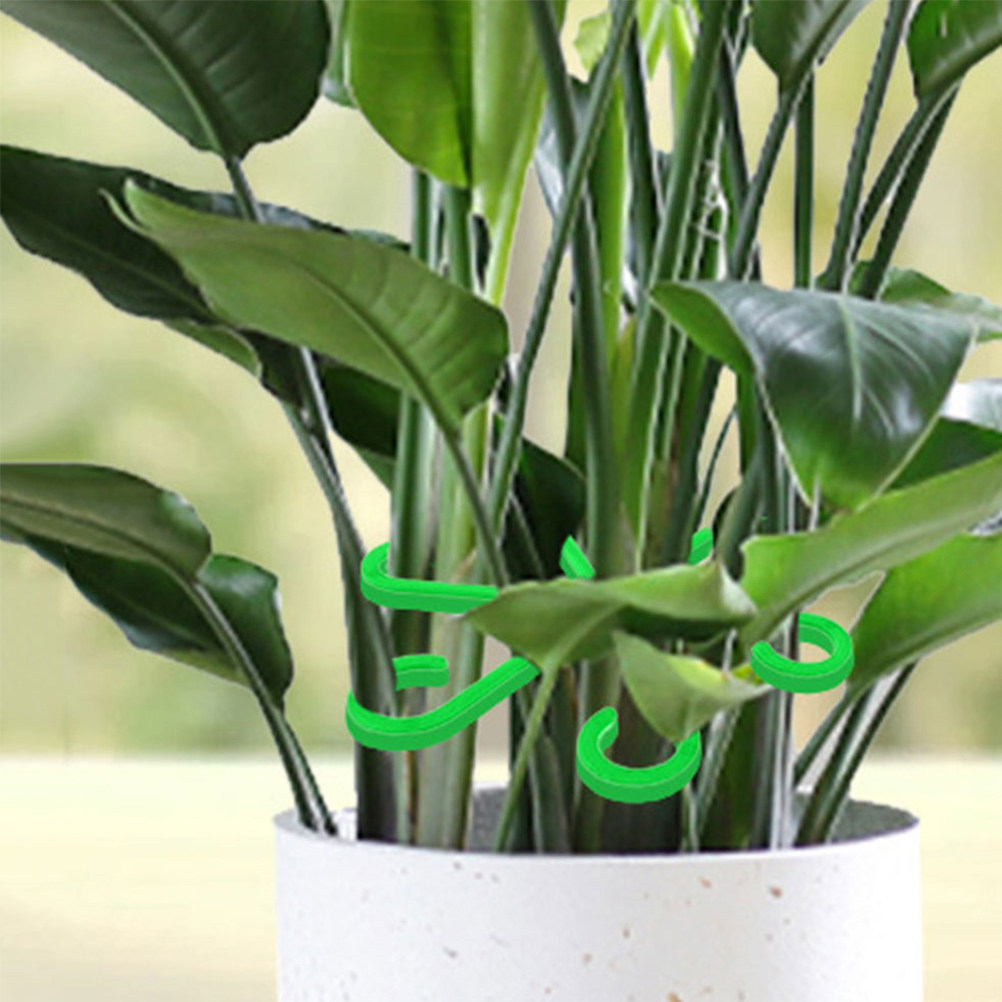 12Pcs Plant Support Clips for  - Vine Climbing Plastic recension och pris