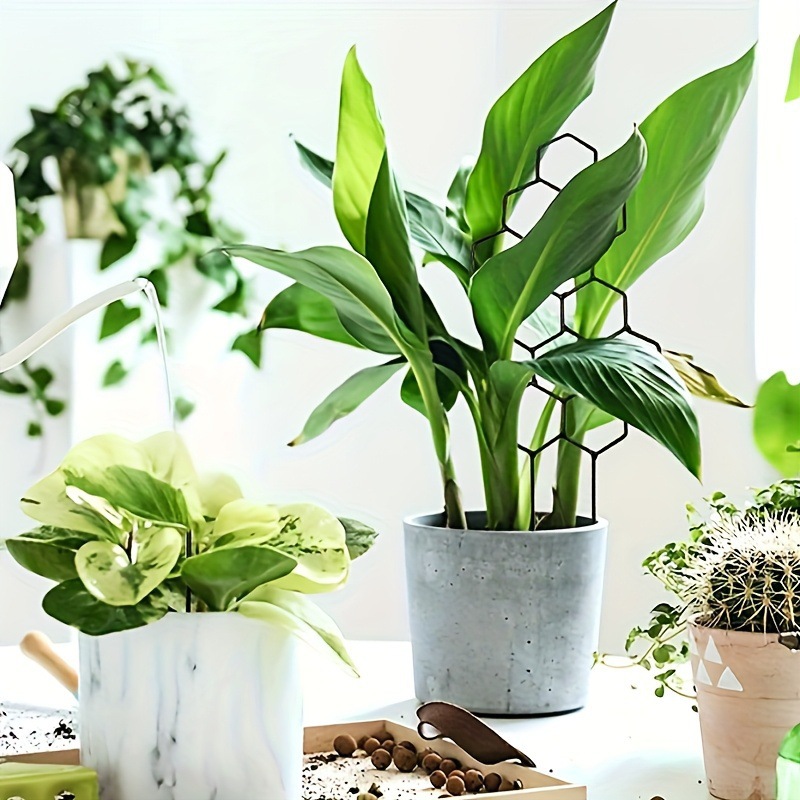 1PC Honeycomb Design Plant Tre - Vine Climbing Plastic recension och pris