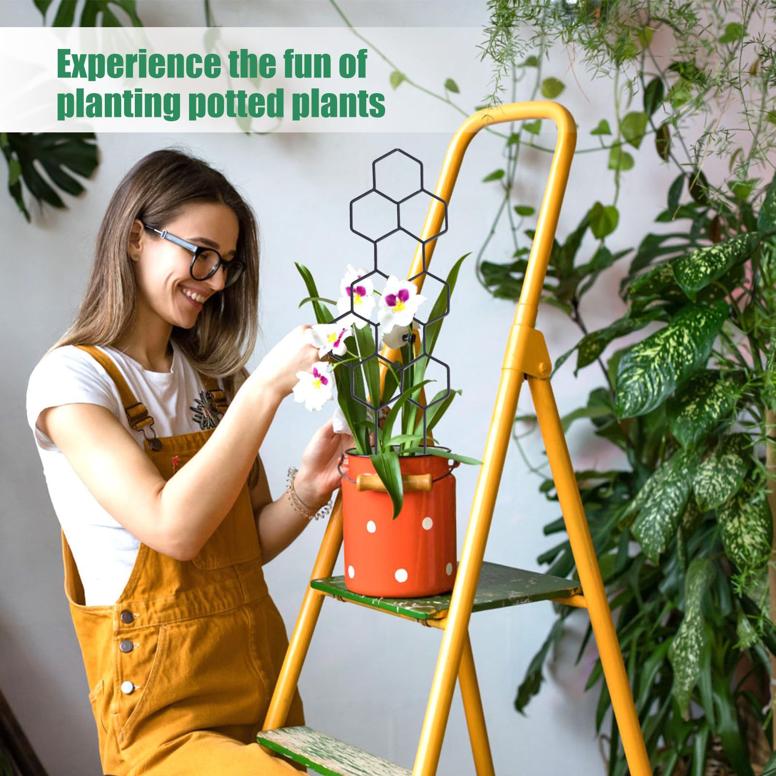 1PC Honeycomb Design Plant Tre - Vine Climbing Plastic recension och pris